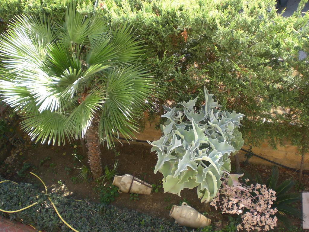 Bouganville San Leone Exterior photo